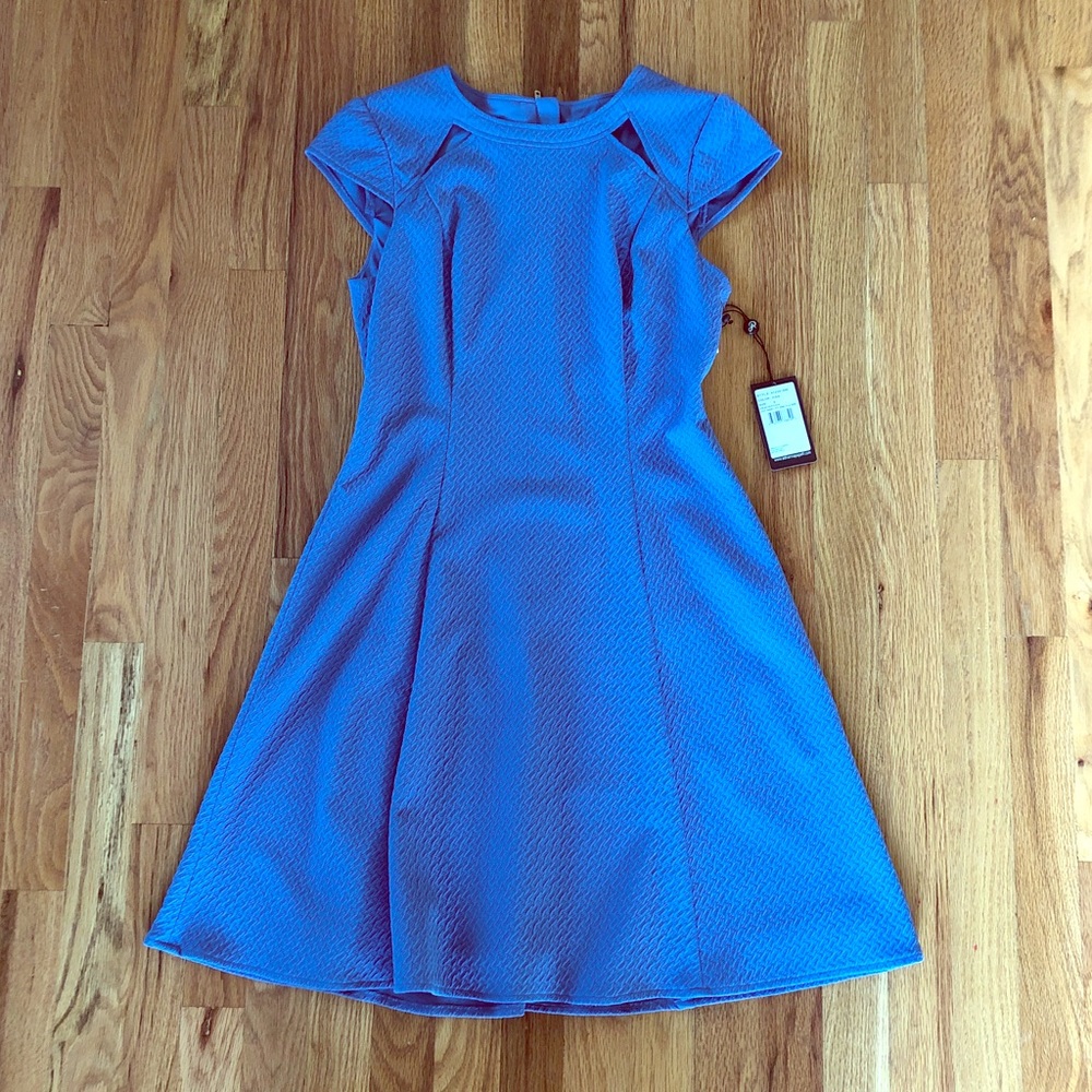 Blue A-Line Dress